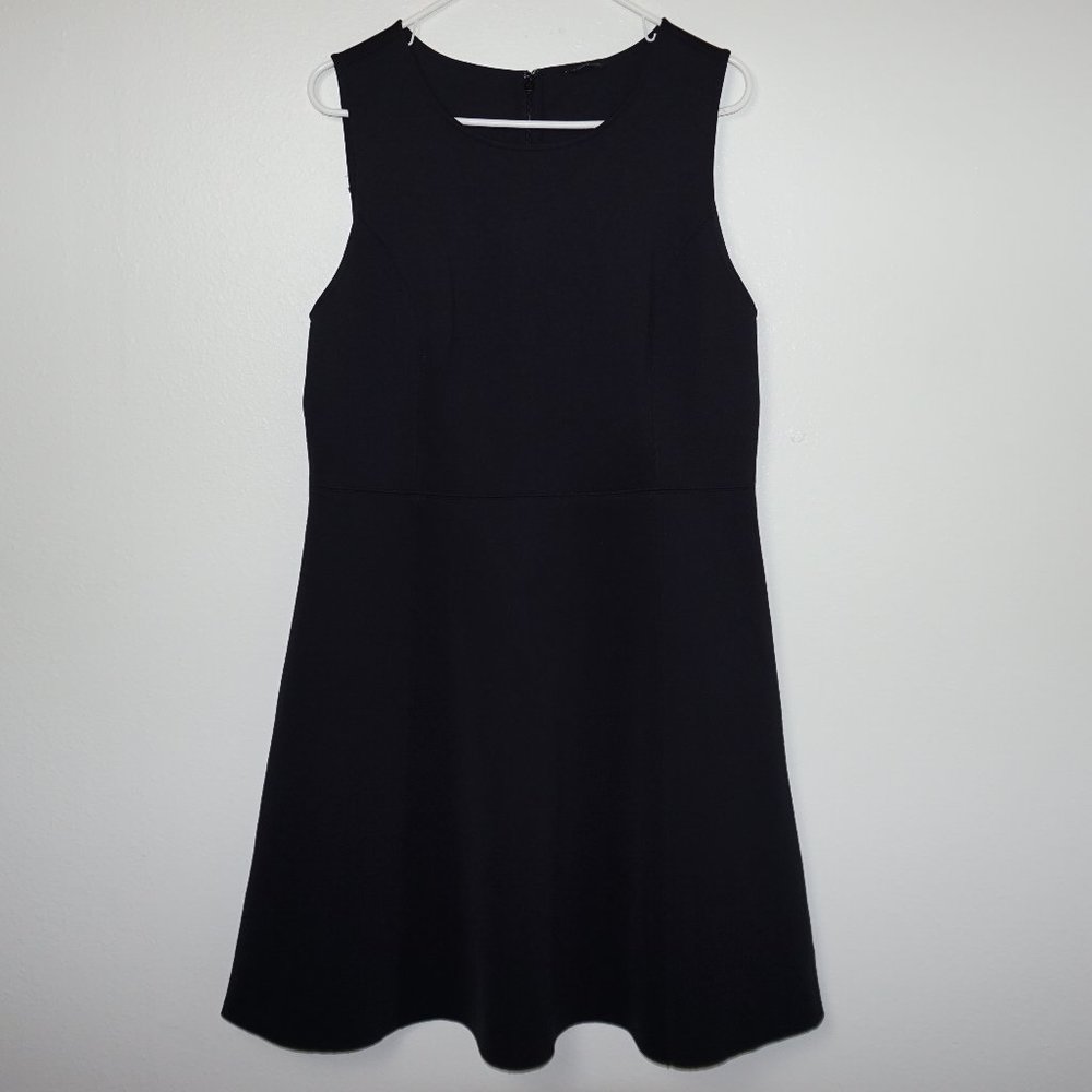 Ann Taylor Black Sleeveless Skater Dress